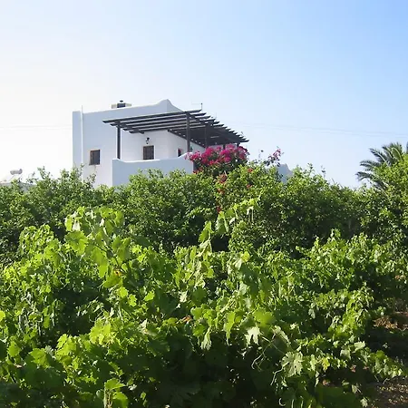 Paros Nature House Mármara