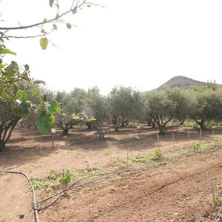 Paros Nature House 度假居 Mármara