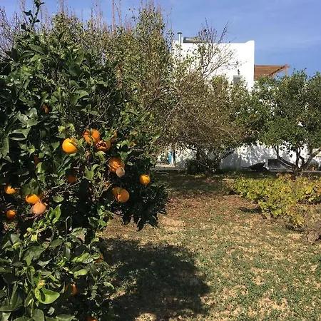 Paros Nature House 度假居 *