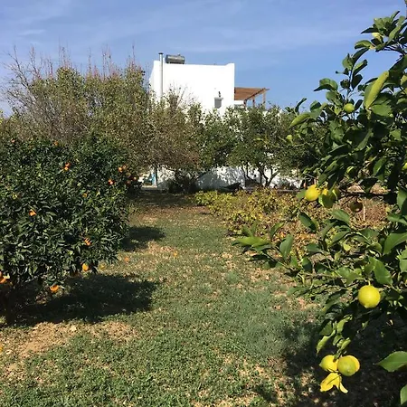 度假居 Paros Nature House *